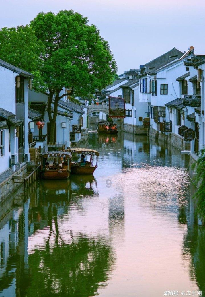 盐城首次发现!摄影师拍到红交嘴雀